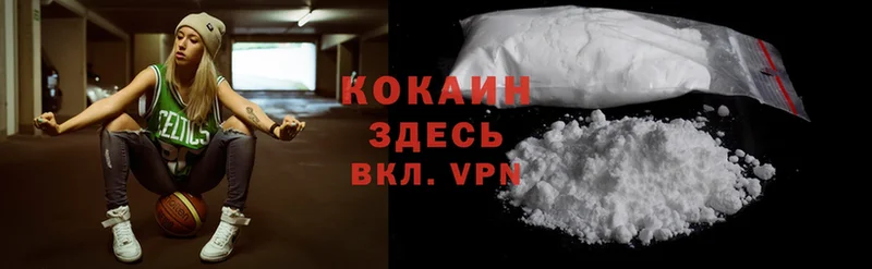 Cocaine Эквадор  купить наркотики сайты  Зеленокумск 